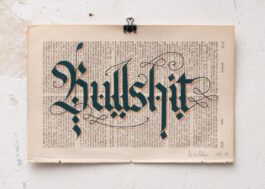 „Bullshit“ Siebdruck Graugrün & Kupfer