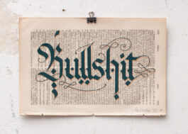 „Bullshit“ Siebdruck Graugrün & Kupfer