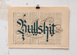 „Bullshit“ Siebdruck Graugrün & Kupfer