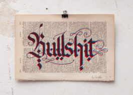 „Bullshit“ Siebdruck Rot & Blau