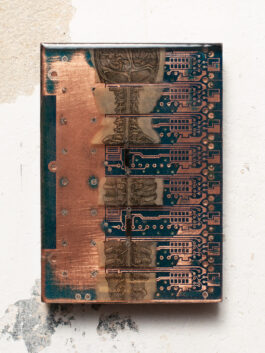 Assemblage „Spinal Circuits“