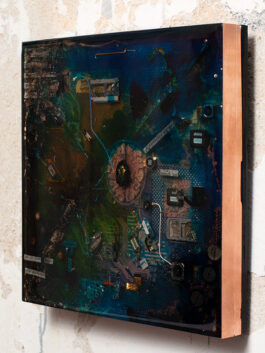 Assemblage „Brain Bug“