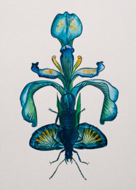 „Grow a Pair“ Siebdruck mit Aquarell