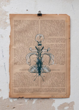 „Grow a Pair“ Siebdruck Graugrün & Weiß