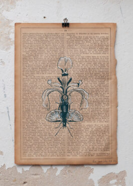 „Grow a Pair“ Siebdruck Graugrün & Weiß