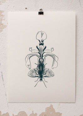 „Grow a Pair“ Siebdruck